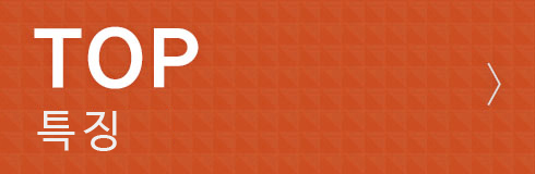 TOP학과특징