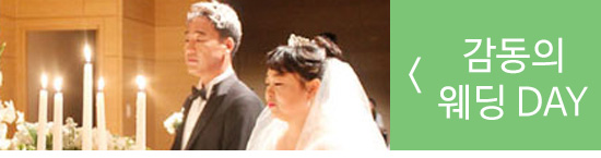 감동의_wdding